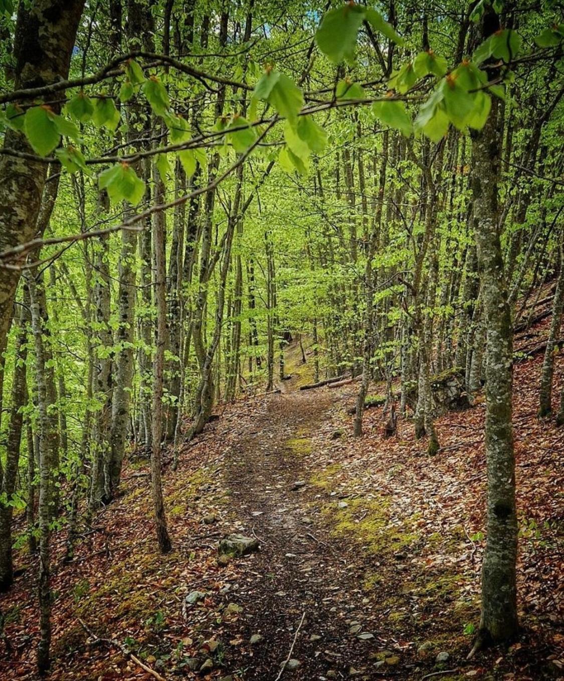 Le Meleze Daire Villar-Saint-Pancrace Dış mekan fotoğraf